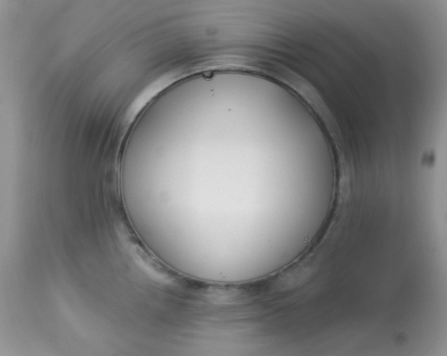 X0000113581242200910091455