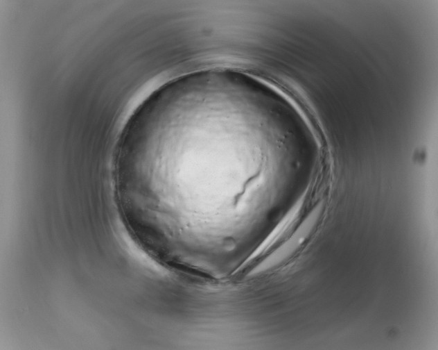 X0000113581243200910091455