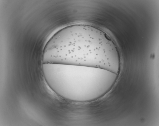 X0000113581244200910091455