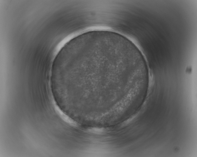 X0000113581245200910091455