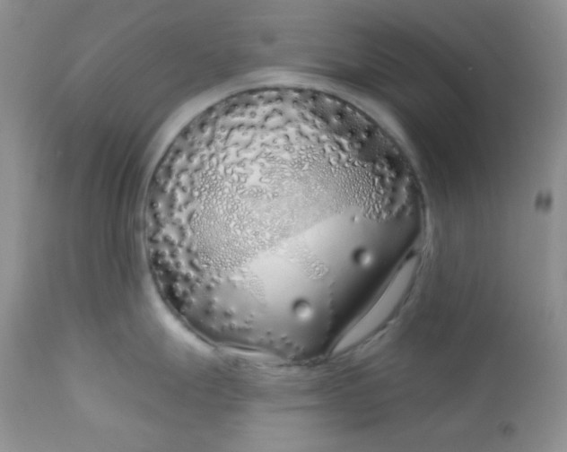 X0000113581247200910091455