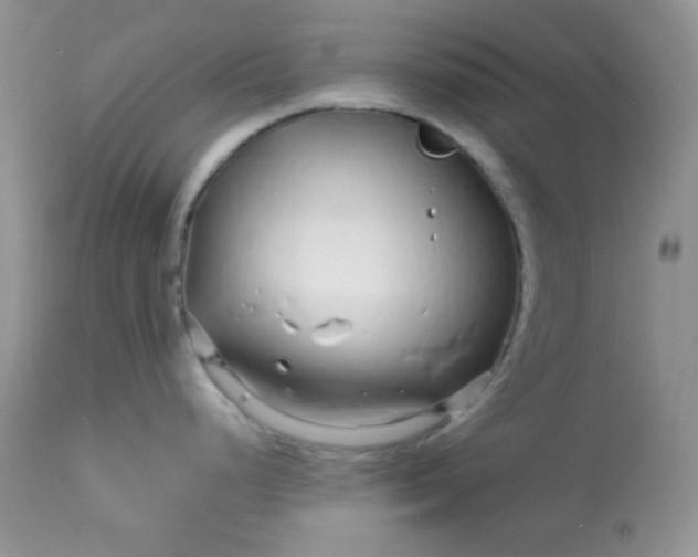 X0000113581248200910091455