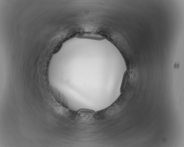 X0000113581249200910091454