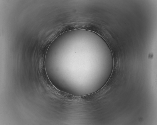 X0000113581250200910091454