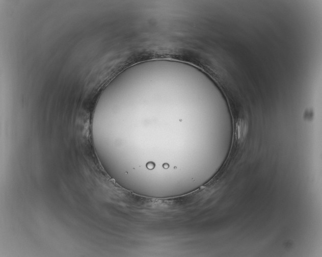 X0000113581251200910091454