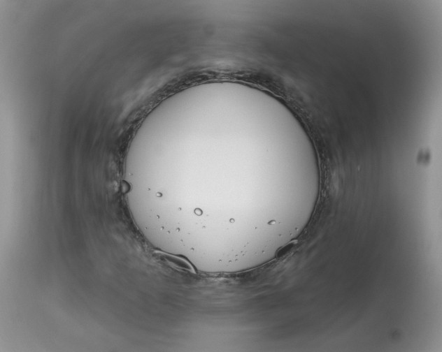 X0000113581253200910091454