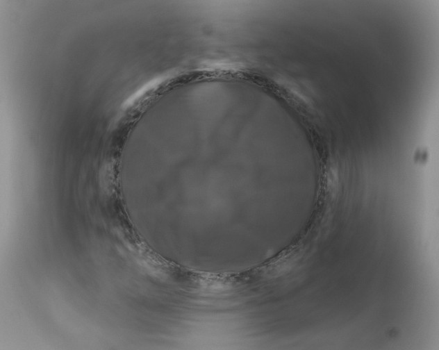 X0000113581254200910091454