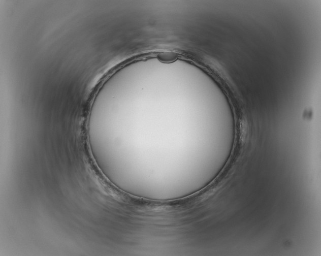 X0000113581260200910091454