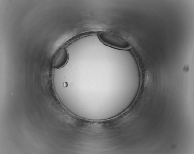 X0000113581261200910091454