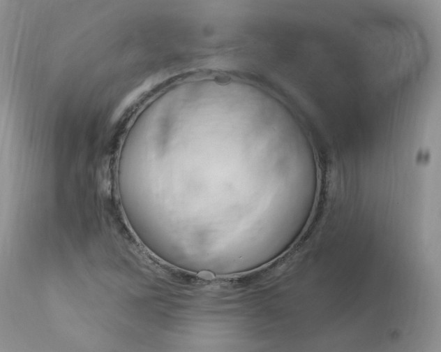 X0000113581262200910091454