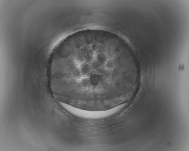 X0000113581263200910091454