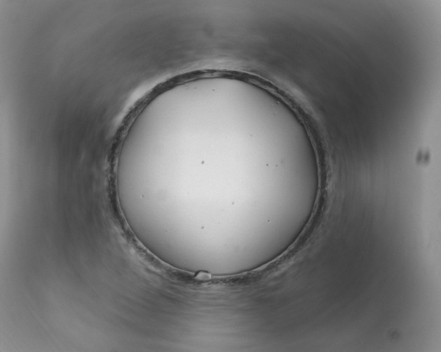 X0000113581264200910091454