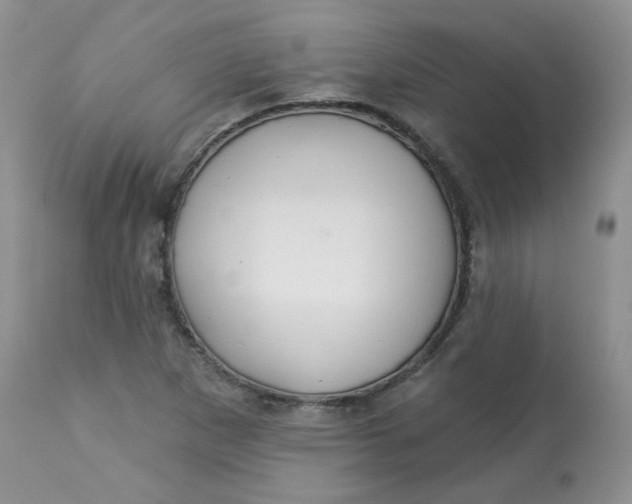 X0000113581265200910091454