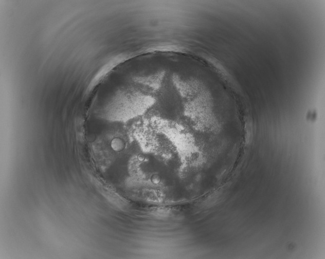 X0000113581266200910091454