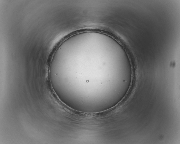 X0000113581267200910091454