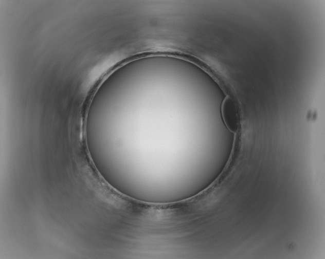 X0000113581269200910091454