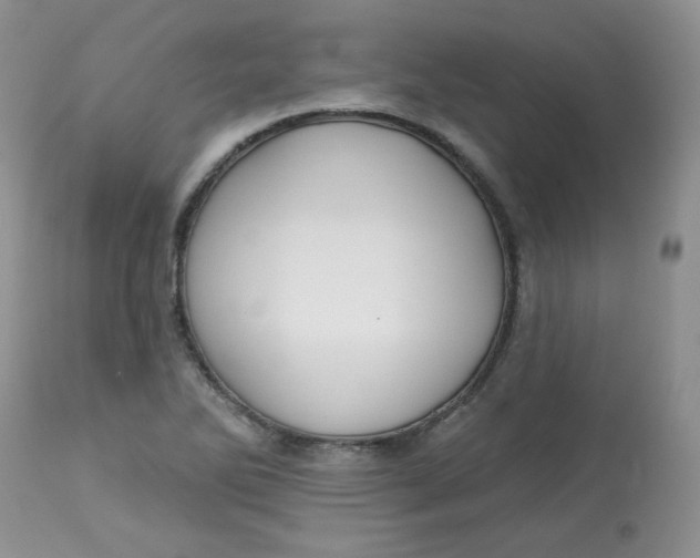 X0000113581270200910091454