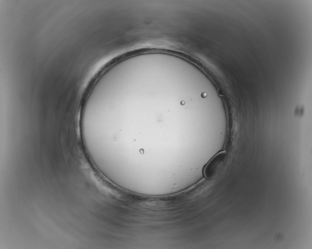 X0000113581272200910091454