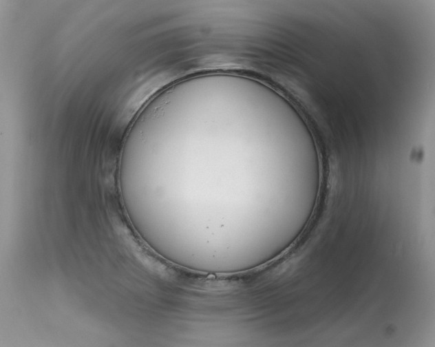 X0000113581273200910091454