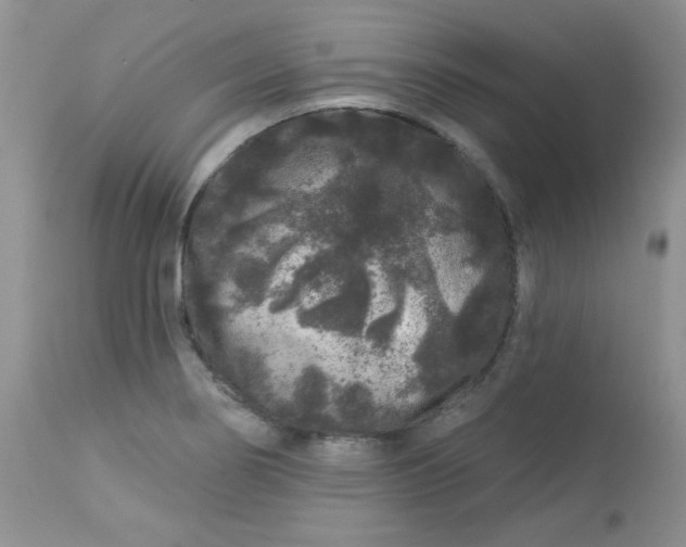 X0000113581274200910091453