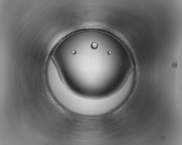 X0000113581277200910091453