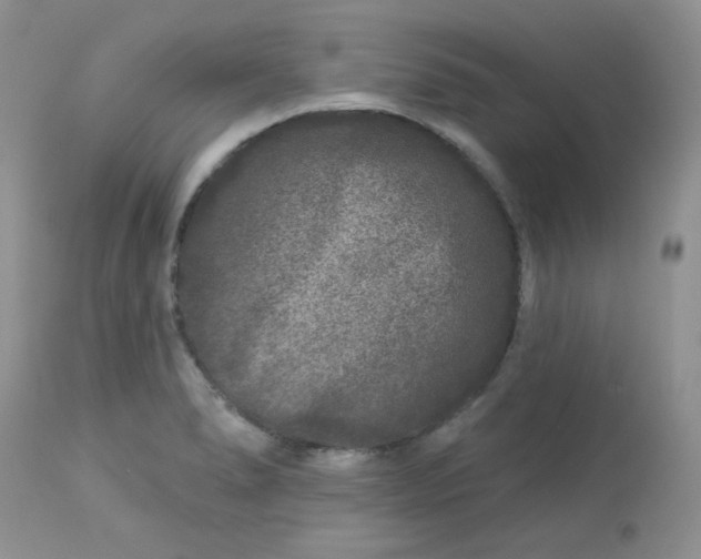 X0000113581278200910091453