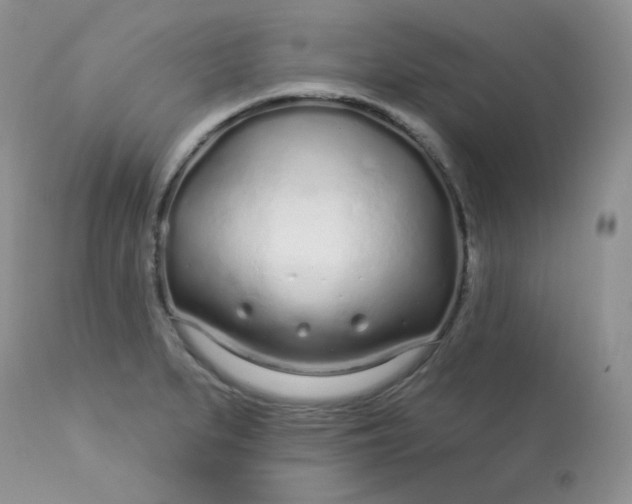 X0000113581279200910091453