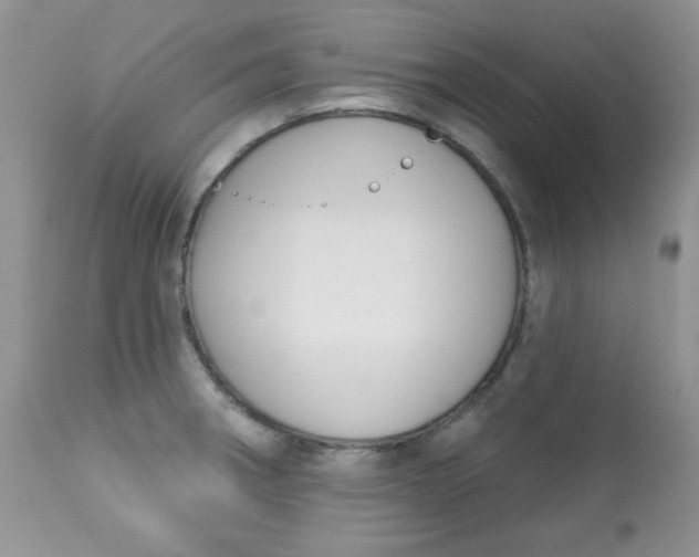 X0000113581282200910091453