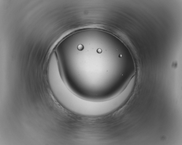 X0000113581284200910091453