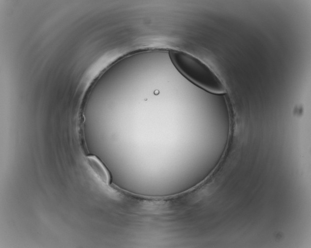 X0000113581285200910091453