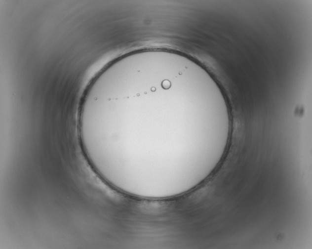 X0000113581286200910091453