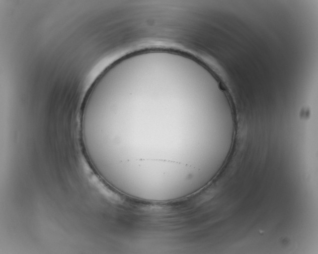 X0000113581287200910091453