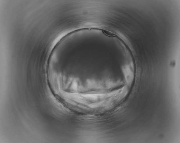 X0000113581291200910091453