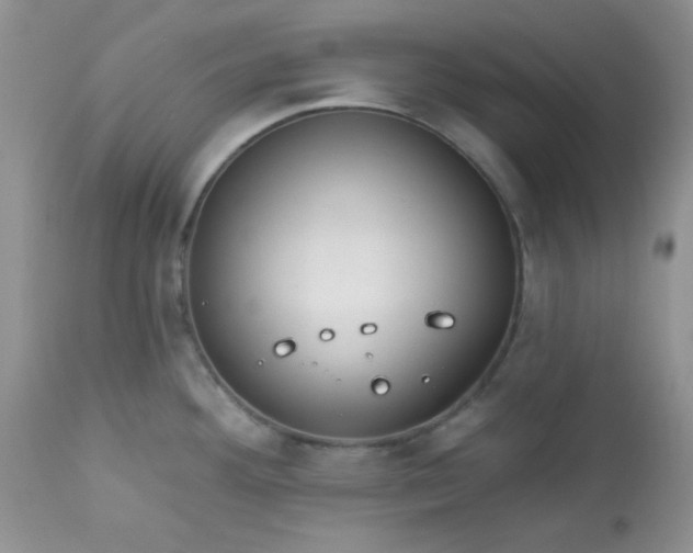 X0000113581292200910091453