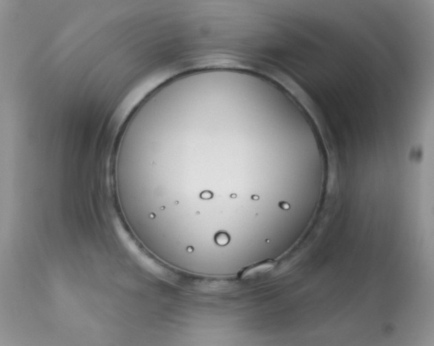 X0000113581293200910091453