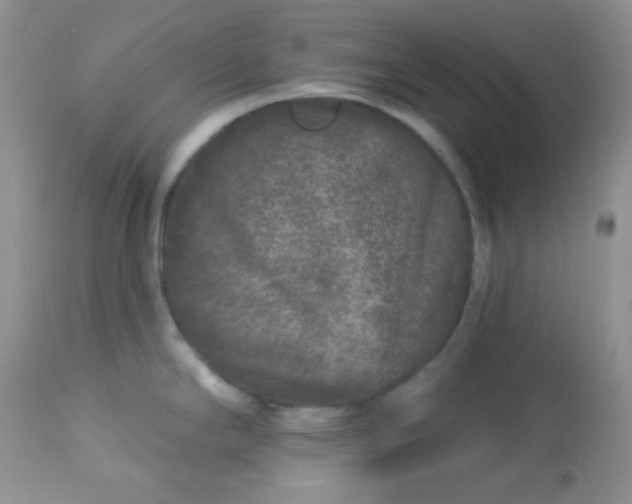 X0000113581294200910091453