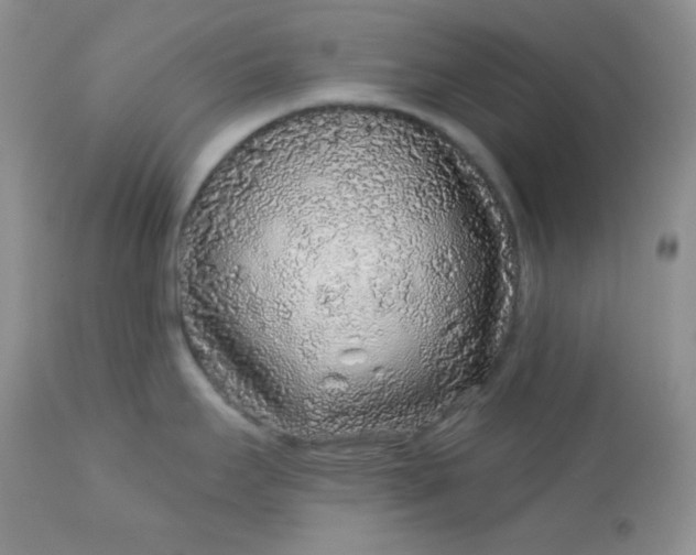 X0000113581295200910091453