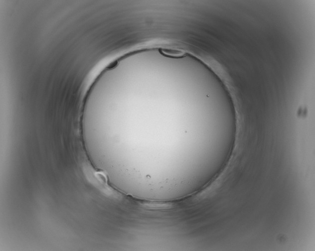 X0000113581296200910091453