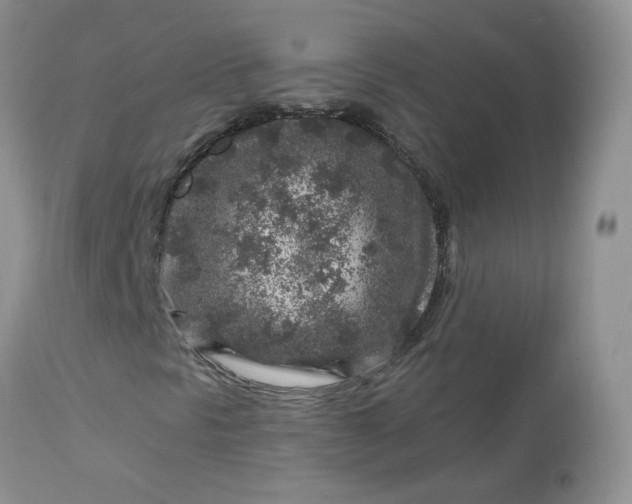 X0000113581297200910091452