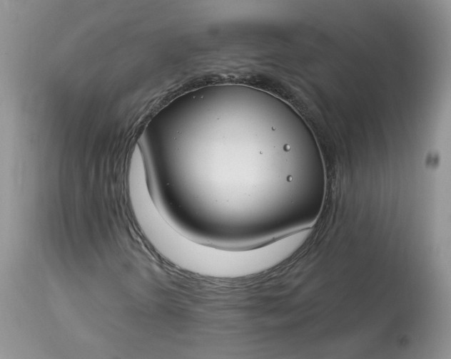 X0000113581298200910091452