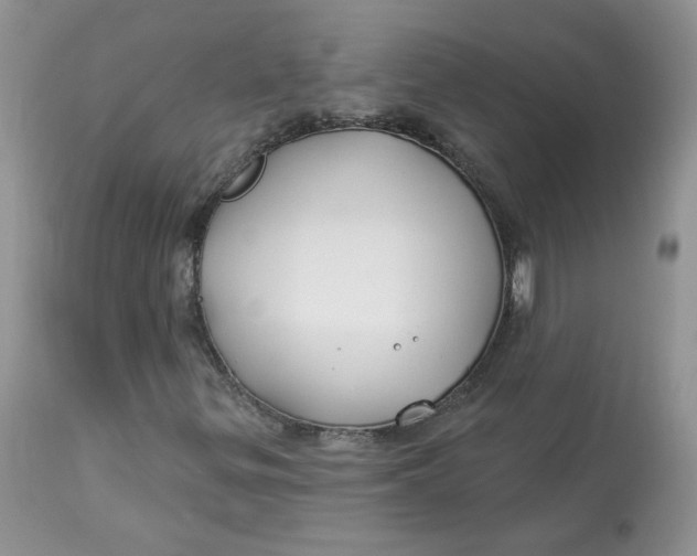 X0000113581299200910091452