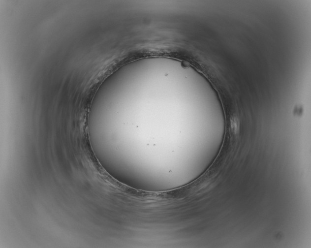 X0000113581300200910091452