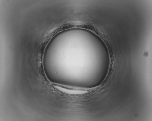 X0000113581301200910091453