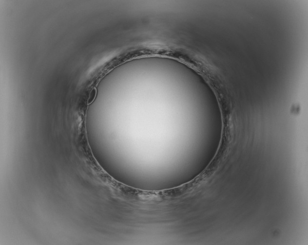 X0000113581302200910091453