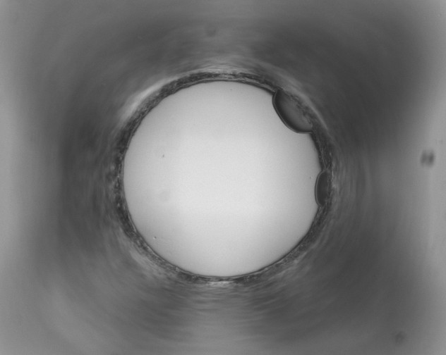 X0000113581304200910091453