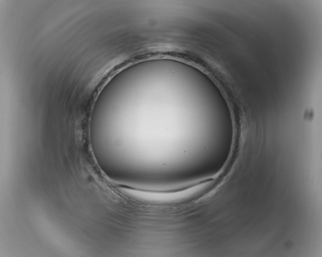 X0000113581305200910091453