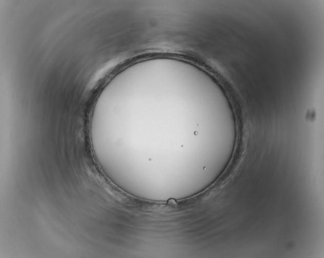 X0000113581307200910091453