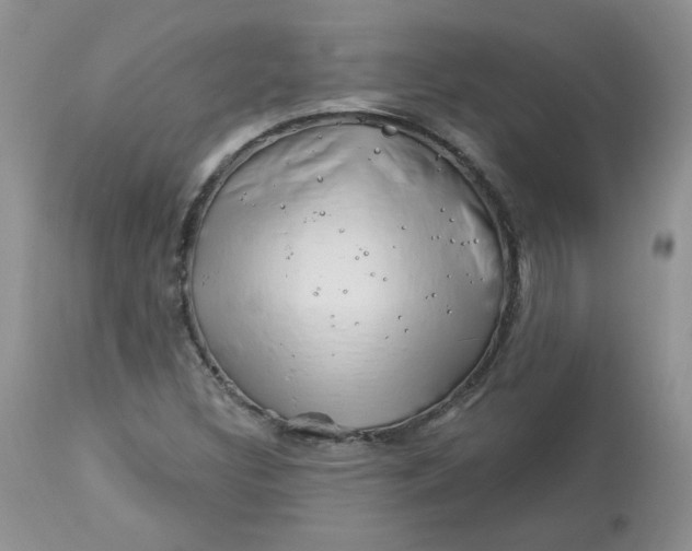 X0000113581308200910091453