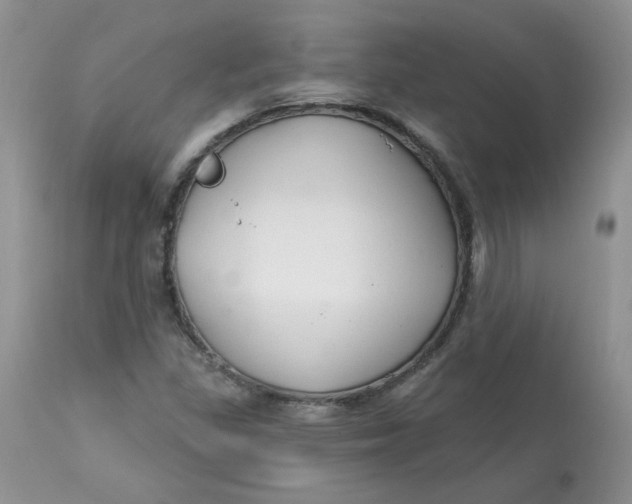 X0000113581309200910091453