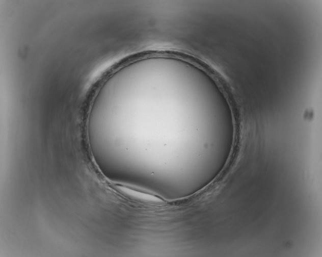 X0000113581311200910091453